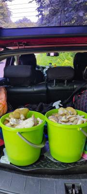 Прикрепленное изображение: IMG_20230718_115259.jpg